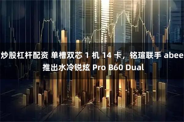炒股杠杆配资 单槽双芯 1 机 14 卡，铭瑄联手 abee 推出水冷锐炫 Pro B60 Dual