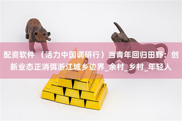 配资软件 （活力中国调研行）当青年回归田野：创新业态正消弭浙江城乡边界_余村_乡村_年轻人